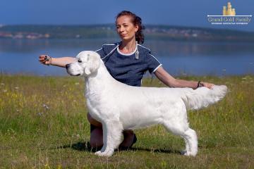 Bohemium OF Zaporozhye Richard Flying Star 9.5мес.